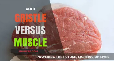 Understanding Gristle and Muscle: What's the Difference?