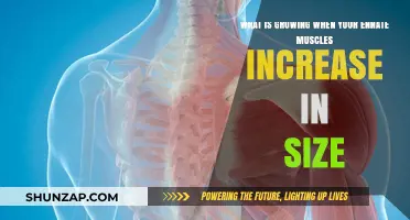Understanding Muscle Growth: How Innate Muscles Increase in Size and Strength