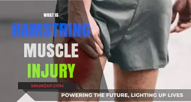 Hamstring Muscle Injuries: Causes, Symptoms, and Treatment