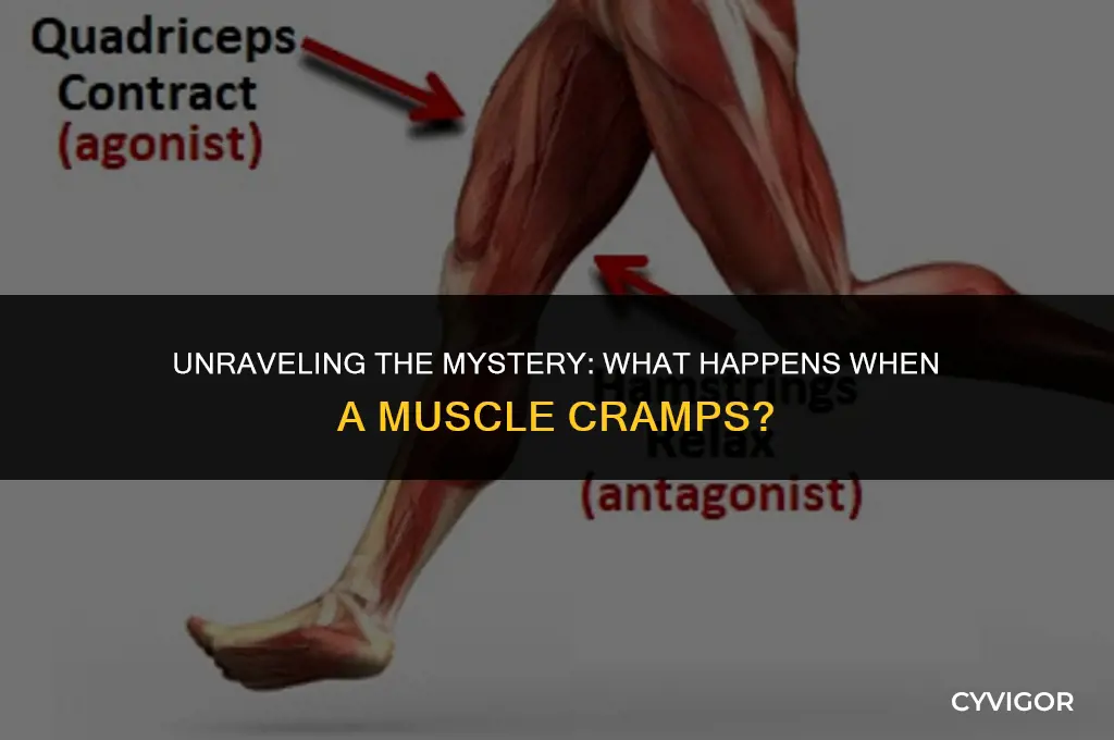 what is happening when a muscle cramps