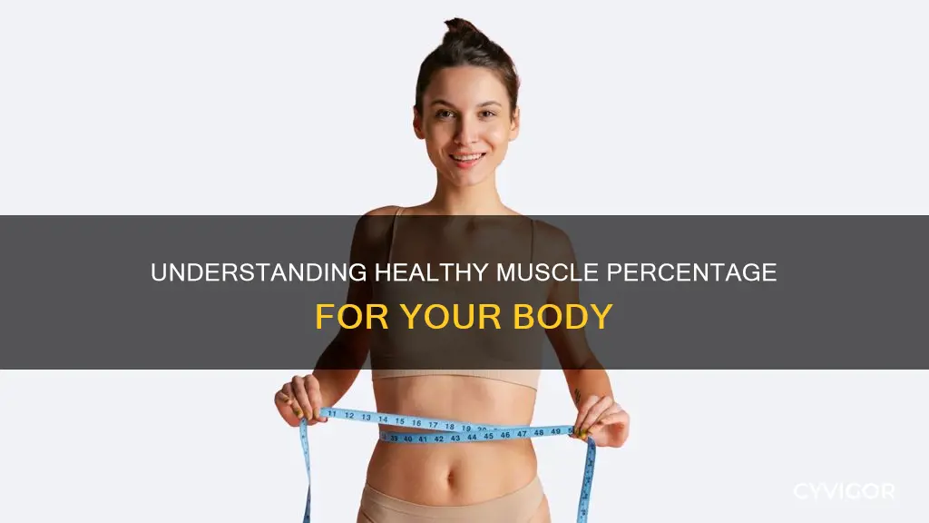 what is healthy muscle percentage