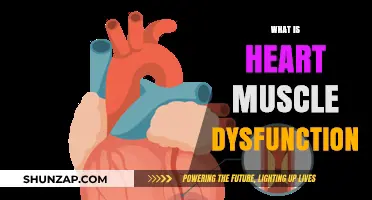 Understanding Heart Muscle Dysfunction: Causes and Effects