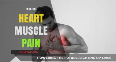 Understanding Heart Muscle Pain: Causes, Symptoms, and Treatment Options