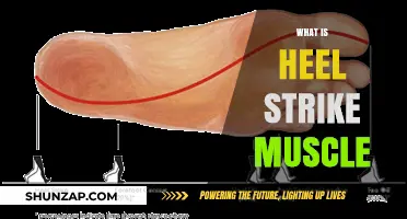 Heel Strike Muscle: What Runners Need to Know