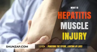 Understanding Hepatitis-Related Muscle Injury