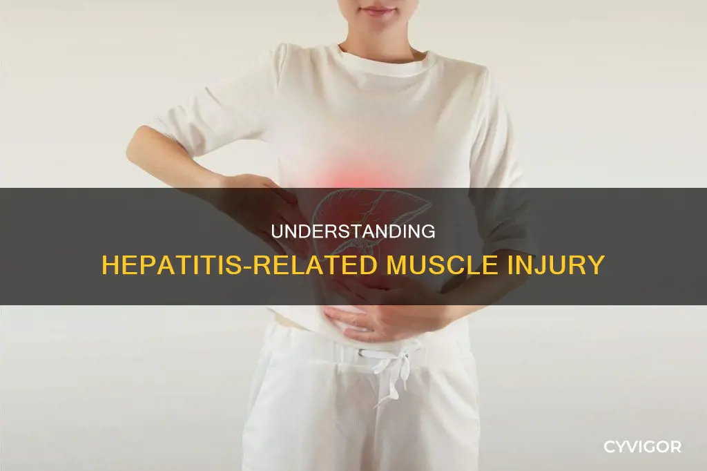 what is hepatitis muscle injury