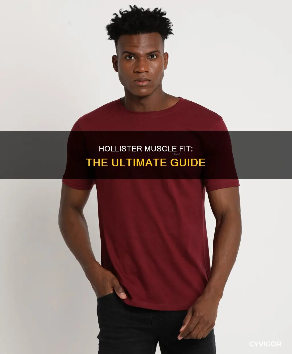 what is hollister muscle fit