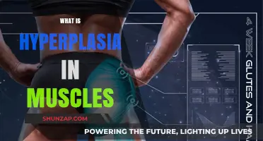 Muscle Hyperplasia: What, Why, and How?