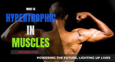 Hypertrophy Basics: Muscle Growth and Development