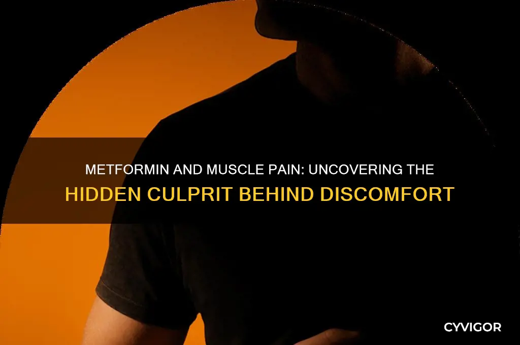 what is in metfomin that causes muscle pain