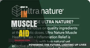 Muscle Aid: Ingredients for Muscle Recovery and Performance