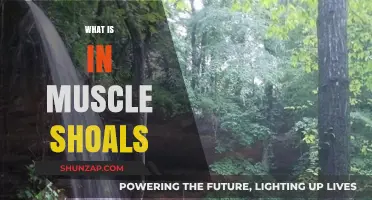 Muscle Shoals: A Musical Mecca in Alabama