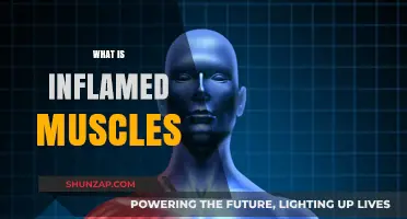 Inflamed Muscles: Understanding the Pain and Treatment