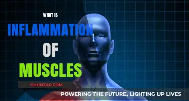 Muscle Inflammation: Understanding the Root Cause