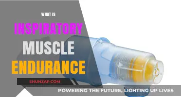 Inspiratory Muscle Training: Improving Endurance Performance