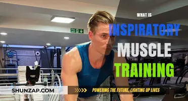 Training Your Breathing Muscles: Inspiratory Muscle Training
