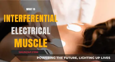 Interferential Electrical Muscle Stimulation: What, Why, and How?