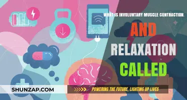 Understanding Involuntary Muscle Contraction and Relaxation: A Comprehensive Guide