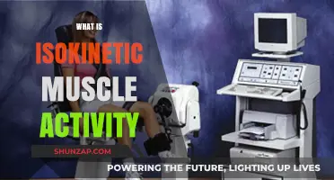 Understanding Isokinetic Muscle Activity: Powering Through
