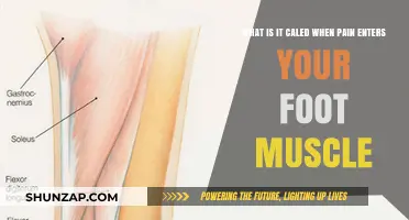 Understanding Foot Muscle Pain: Causes, Symptoms, and Effective Relief Strategies