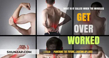 Understanding Muscle Overuse: What Happens When Muscles Get Overworked?