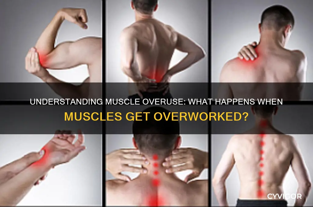 what is it called when the muscles get over worked