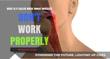 Understanding Dysphagia: When Throat Muscles Fail to Function Properly