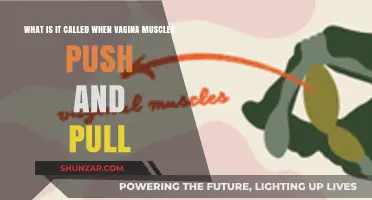 Understanding Vaginal Muscle Contractions: The Science Behind Pushing and Pulling