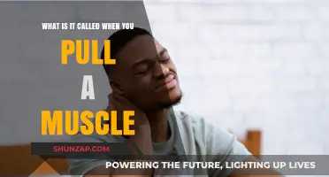 Understanding Muscle Strains: What It Means to Pull a Muscle