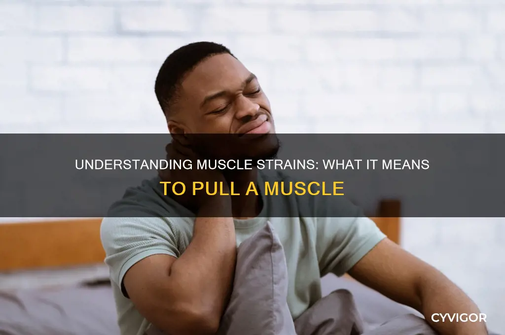 what is it called when you pull a muscle