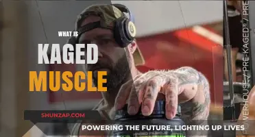 Kaged Muscle: Premium Supplements for Your Fitness Goals