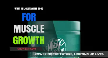 Unlocking Muscle Growth: The Benefits of L-Glutamine