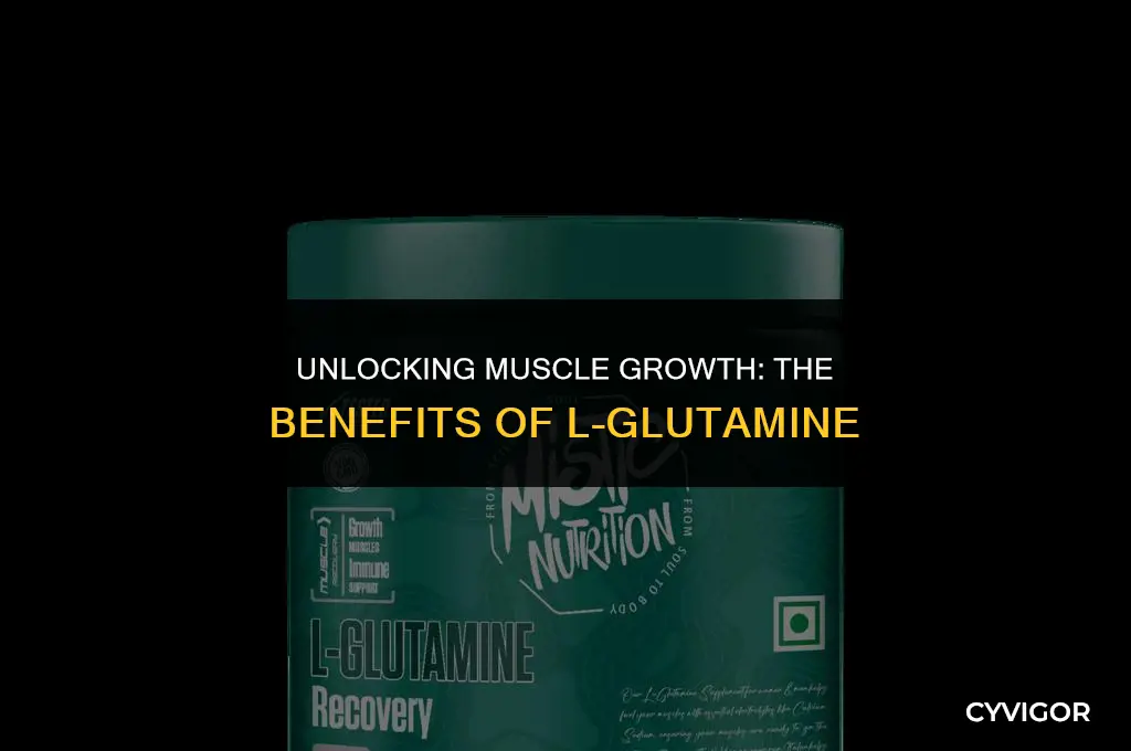 what is l glutamine good for muscle growth
