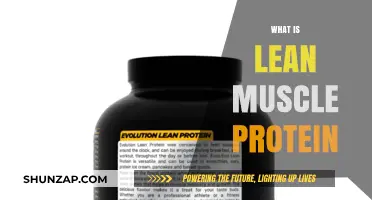 Building Lean Muscle: The Role of Protein