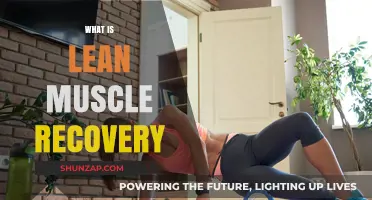 Building Lean Muscle: Recovery Strategies