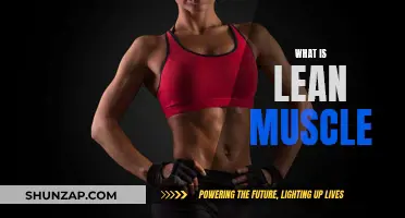 Building Lean Muscle: Understanding the Basics