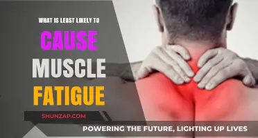 Unraveling the Least Likely Culprits Behind Muscle Fatigue: A Comprehensive Guide