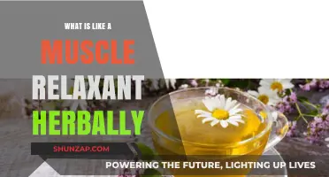 Natural Muscle Relaxants: Herbal Remedies for Tension and Pain Relief
