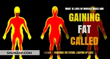 Sarcopenic Obesity: Understanding Muscle Loss and Fat Gain Phenomenon