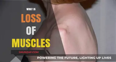 Muscle Loss: Understanding Sarcopenia and its Impact