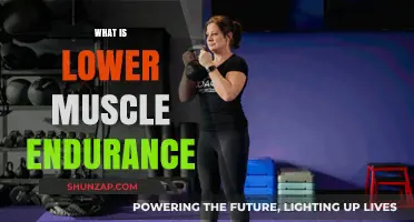Muscle Endurance: Understanding Lower Body Limits