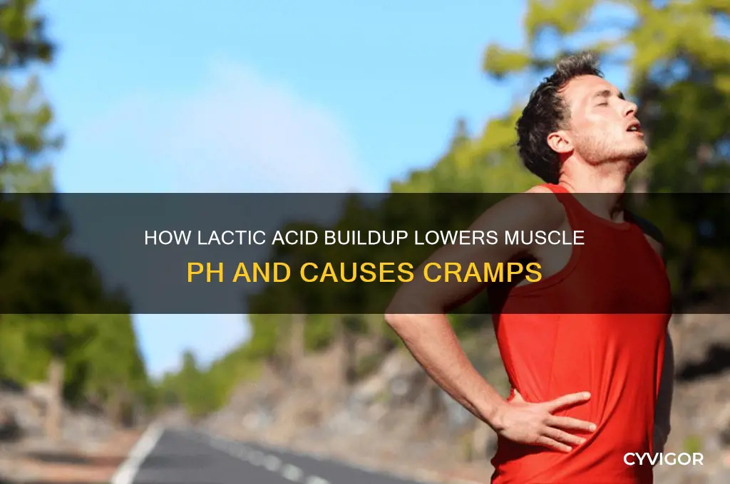 what is lowers the ph in the muscle causing cramps
