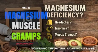 Unraveling the Mystery: Magnesium's Role in Muscle Cramps Explained