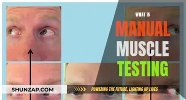 Manual Muscle Testing: Understanding the Fundamentals