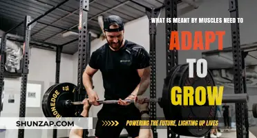 Muscle Adaptation: The Key to Growth and Strength Development