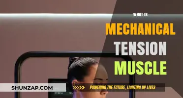 Mechanical Tension: Muscle Growth and Strength
