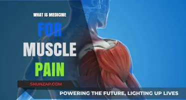 Effective Medicine for Muscle Pain: Types, Uses, and Relief Tips