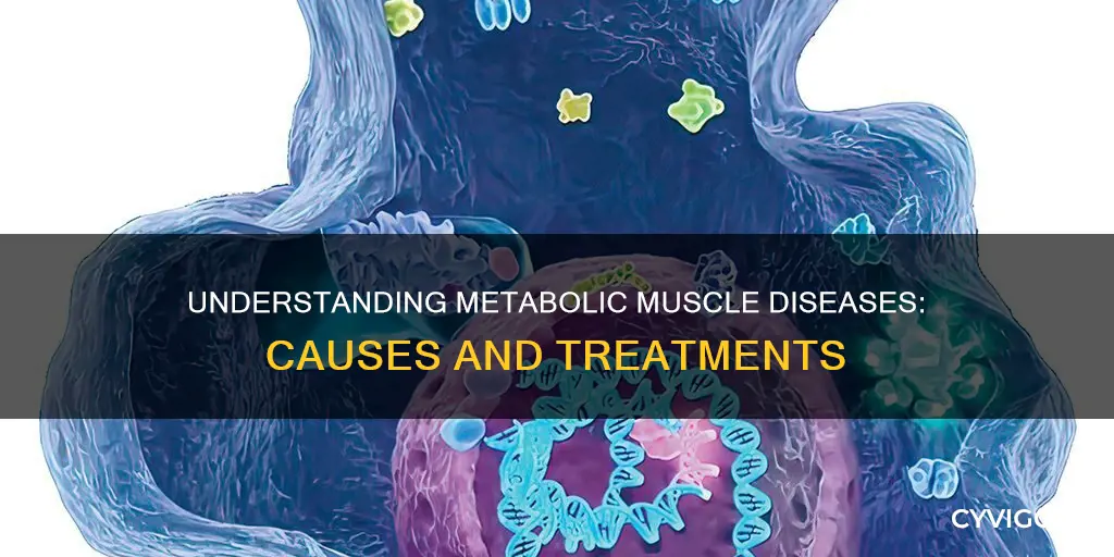 what is metabolic muscle disease