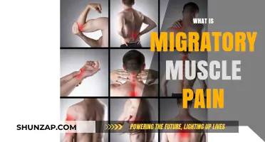 Understanding Migratory Muscle Pain: Causes, Symptoms, and Relief Strategies