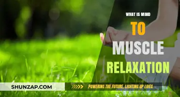 Master Mind-Muscle Relaxation: Unlock Calmness and Physical Ease